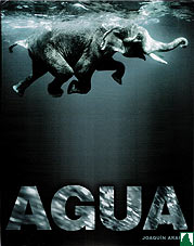 Agua Agua