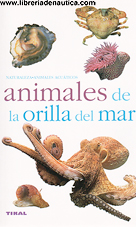 Animales de la Orilla del Mar