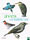 Aves Acuaticas
