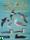 Aves marinas