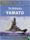 The Battleship Yamato