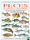 Peces de Espa�a y de Europa