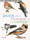 Aves del bosque y el campo