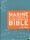 The Marine Electrical and Electronics Bible