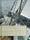 Ocean Yachtmaster