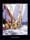 Match Racing -Lamina-